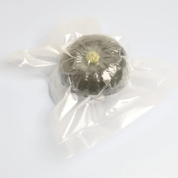 bag vacuum seal