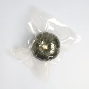 vacuum bag sealer