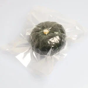 vacuum bags storage